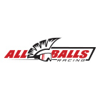 all_balls_racing
